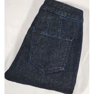 PILCRO Anthropologie jeans High-Rise Denim Legging dark Metallic sparkly sz 25‎